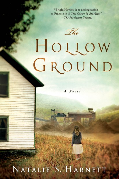 Book cover of The Hollow Ground by writer Natalie S. Harnett.