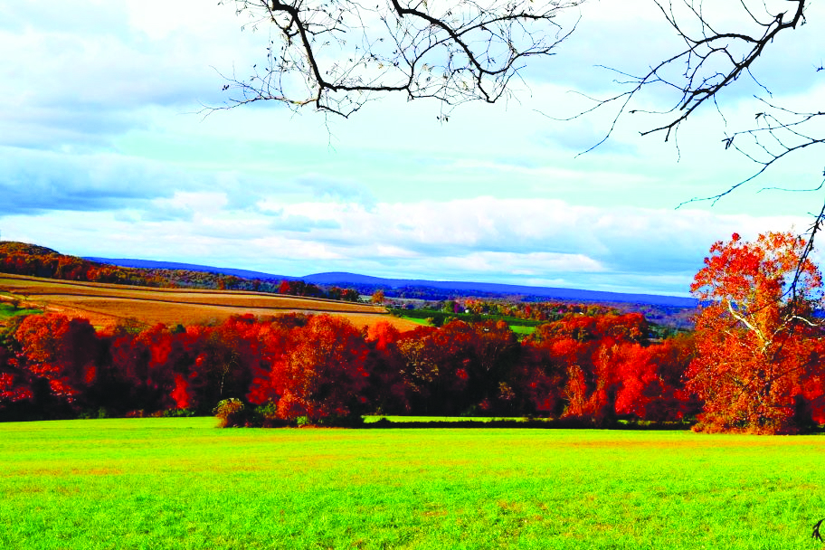 Give Us Your Best Shot Grand Prize, Lisa Pascuzzo IT’S SCHUYLKILL COUNTY—NATURALLY!